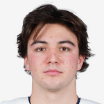 Бриссон Брендан