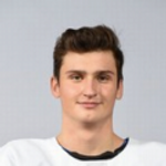 Ендек Доминик