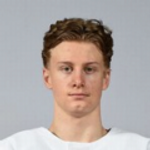 Валльнер Леон