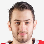 Зигмунт Павел