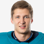 Бердин Михаил