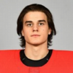 Патенод Ноа