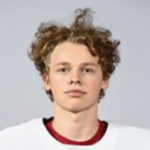 Зоммер Леонхард