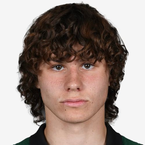 Андрей Полевой