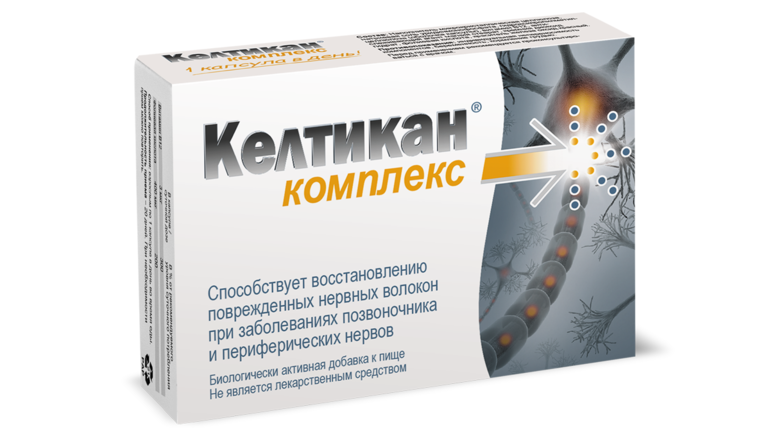 Разработан новый комплекс, способствующий регенерации нервных волокон. Разработан новый комплекс, способствующий регенерации нервных волокон.