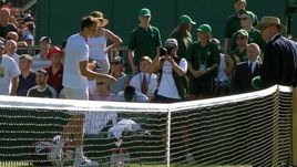 Сегодня. Лондон. Даниил МЕДВЕДЕВ бросает монеты к судейской вышке после поражения от Рубена Бемельманса.