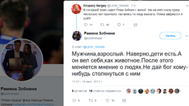 Твиттер Рамины Зобниной.