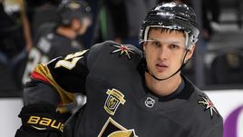 Вадим ШИПАЧЕВ.