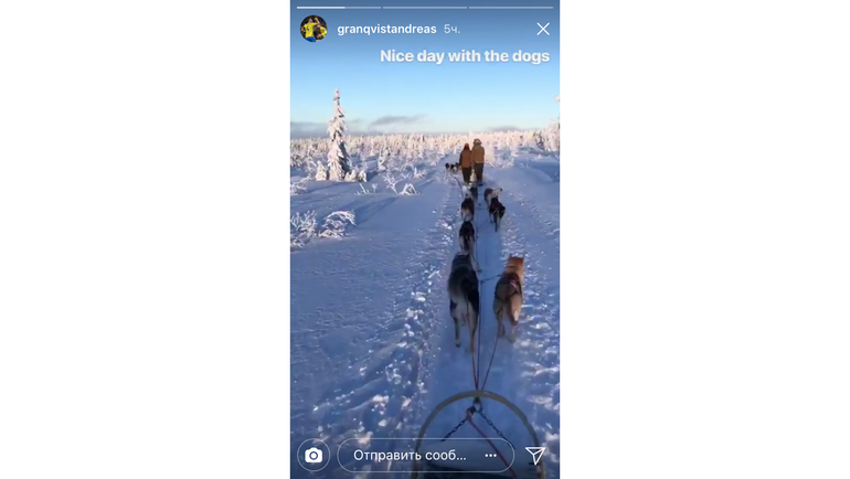 Андреас ГРАНКВИСТ катается на собачьей упряжке. Фото instagram.com/ Андреас ГРАНКВИСТ катается на собачьей упряжке. Фото instagram.com/