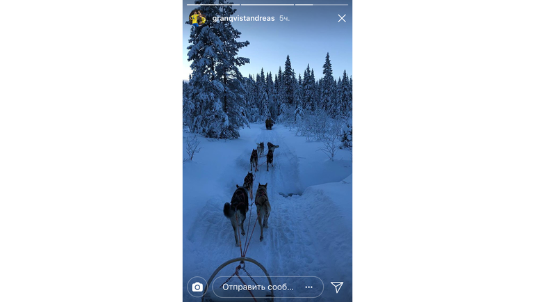 Андреас ГРАНКВИСТ катается на собачьей упряжке. Фото instagram.com/ Андреас ГРАНКВИСТ катается на собачьей упряжке. Фото instagram.com/