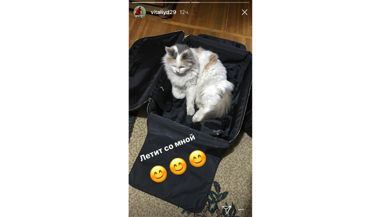 Виталий ДЕНИСОВ прихватит на сборы кота. Виталий ДЕНИСОВ прихватит на сборы кота.