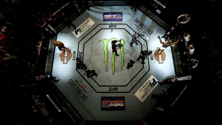 Российский бизнес может купить долю в UFC. Фото Sean M. Haffey, AFP Российский бизнес может купить долю в UFC. Фото Sean M. Haffey, AFP