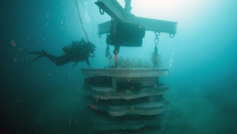 Дайвинг. Фото AFP Дайвинг. Фото AFP
