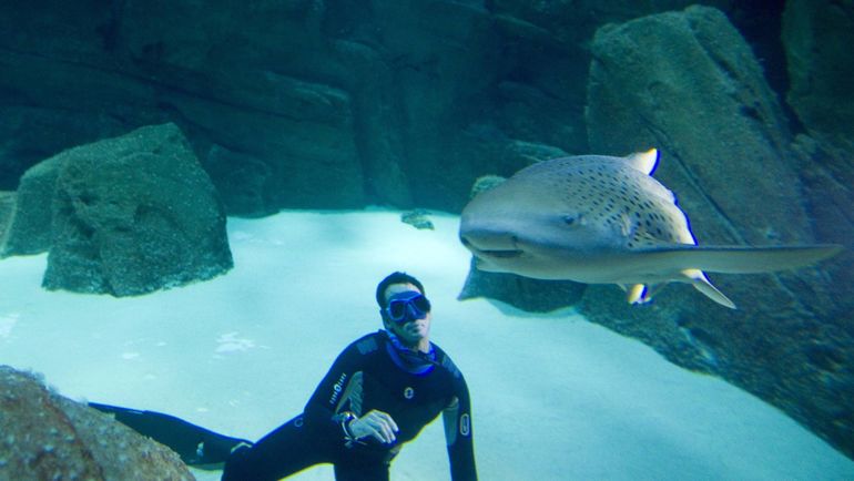 Погружение в открытой воде. Фото REUTERS Погружение в открытой воде. Фото REUTERS