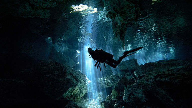 Сафари под водой. Сафари под водой.