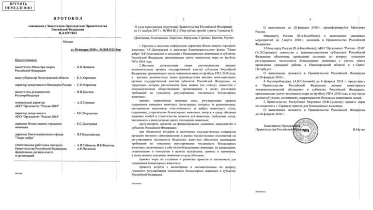 Протокол встреч. Протокол встреч.
