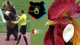 Лиги животных. Как в российский футбол пришли звери