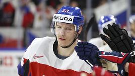 Чемпионат мира. Чехия – Словакия – 3:2 ОТ. Дмитрий ЯШКИН.