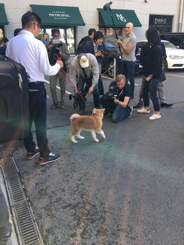 Алина Загитова получила в подарок щенка. Фото facebook.com/O.Ermolina/ Алина Загитова получила в подарок щенка. Фото facebook.com/O.Ermolina/