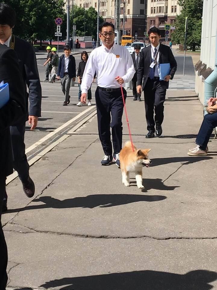 Алина Загитова получила в подарок щенка. Фото facebook.com/O.Ermolina/ Алина Загитова получила в подарок щенка. Фото facebook.com/O.Ermolina/