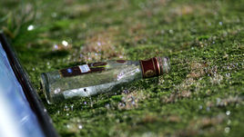 Сухой закон ФИФА. Пить можно только то, что дают.