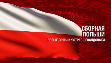 Польша. Главные факты о сборной