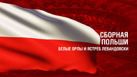 Польша. Главные факты о сборной