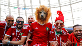 Болельщики сборной Марокко.