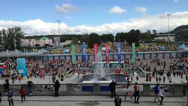 Немцы приехали в Питер поболеть против шведов?