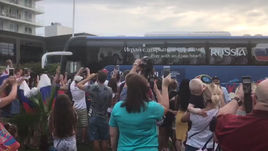 Собака Милли, встречавшая сборную России в Сочи, ставит на победу 2:0