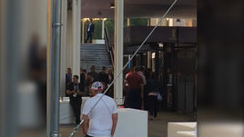 Вукоевич пришел на матч Англия - Хорватия. Видео