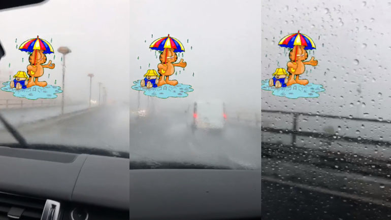 Сториз Доменико Кришито. Сториз Доменико Кришито.