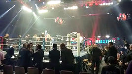 Лебедев легко нокаутировал турка 