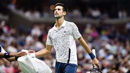 Джокович против Дель Потро. Такого финала в Нью-Йорке еще не было