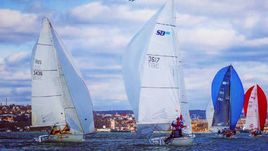 Украина хочет затопить российский парусный спорт. Все из-за Крыма