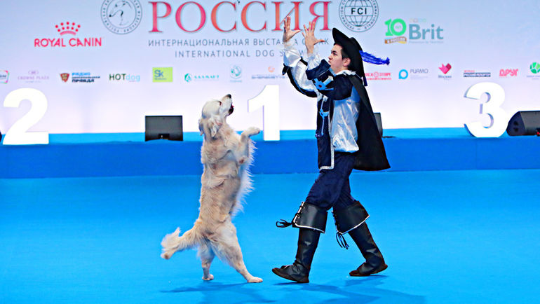 Выступления оценивает бригада судей, в которую входит от трех до пяти арбитров. Фото Павел Разов Выступления оценивает бригада судей, в которую входит от трех до пяти арбитров. Фото Павел Разов