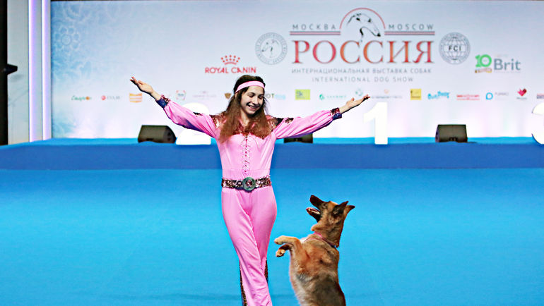 Животному надо четко выполнять команды человек. Фото Павел Разов Животному надо четко выполнять команды человек. Фото Павел Разов