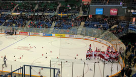 11 ноября. Сент-Джон. Россия – Финляндия – 2:1.