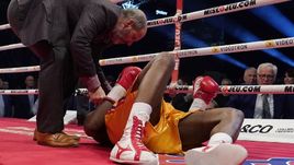 Стивенсон в коме. Виноват ли Гвоздик?