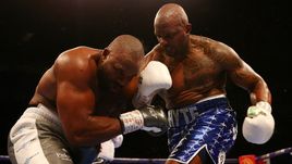 Рождественский нокаут. Уайт победил Чисору и может выйти на Усика