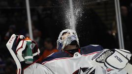 Сергей Бобровский.