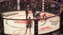 Сергей Харитонов отправился в больницу после удара в пах от Мэтта Митриона.