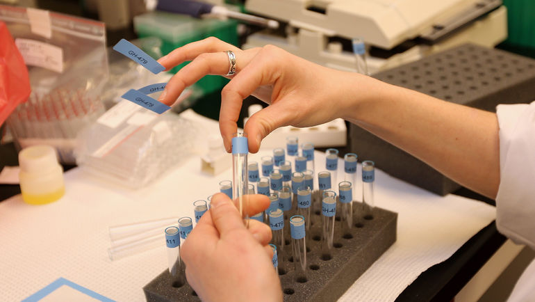 Антидопинговая лаборатория. Фото AFP Антидопинговая лаборатория. Фото AFP