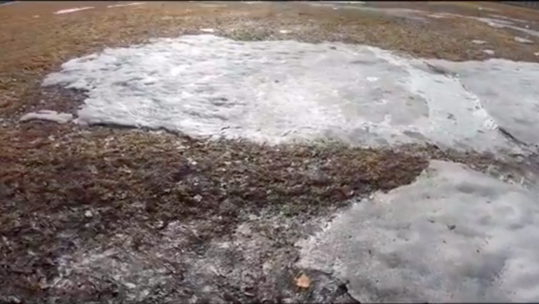 Родное поле Головина в Калтане. Родное поле Головина в Калтане.