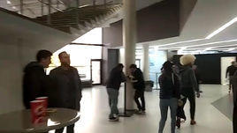 На шоу UFC в Питере прибыли болельщики в папахах 