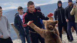 Хабиб vs медведь. Уникальная история