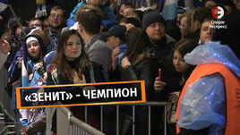 Петербург гуляет! Как встретили "Зенит"
