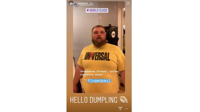 Ответ Логана Пола. Ответ Логана Пола.