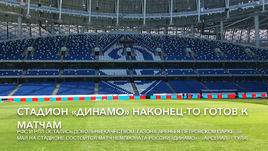 Стадиону "Динамо" теперь не страшны даже бакланы  