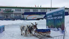 Чумы, олени и шаманы. Керлинг на краю русской земли